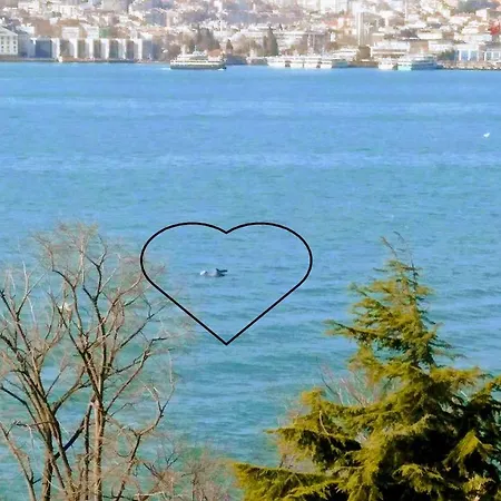The Bosphorus Perch Apartamento Estambul